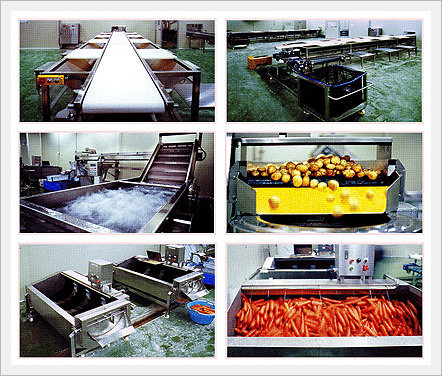 Vegtable Pretreatment System Made in Korea